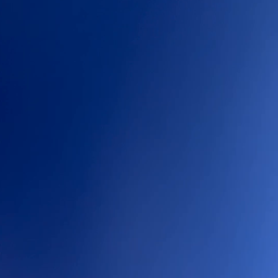 pixeldrain.com